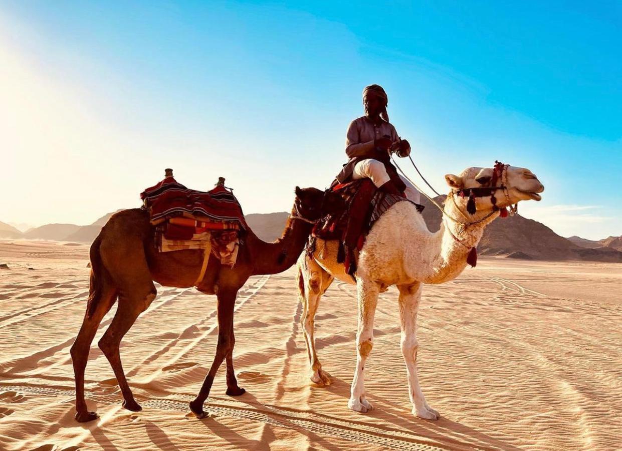 Rum Arjaan Luxury Camp Wadi Rum Exteriör bild