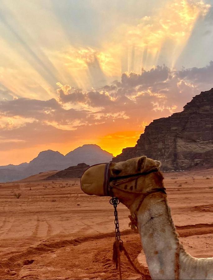 Rum Arjaan Luxury Camp Wadi Rum Exteriör bild
